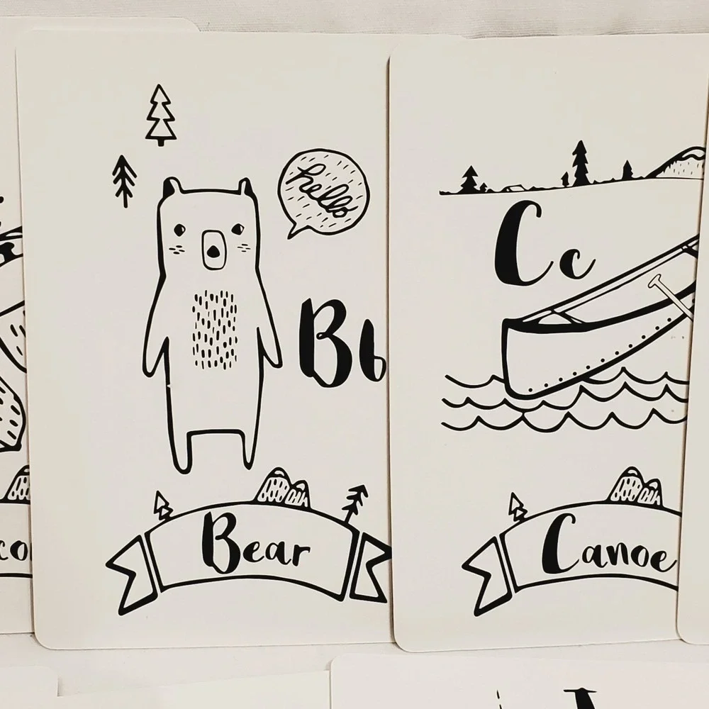 Animal Alphabet Number Cards Yolo Kids Educational Box Has Issues‎